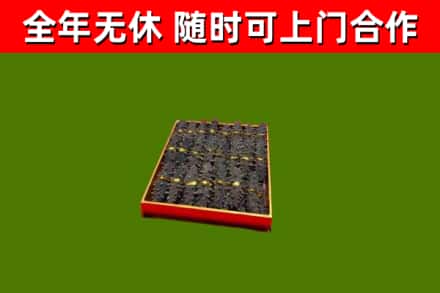 文山回收海参